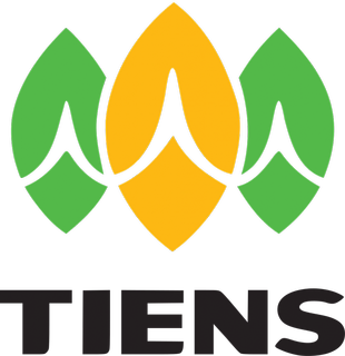 Tiens  | Network Marketing Companies in India