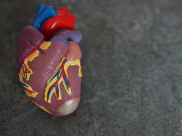 iPhone 12 may halt pacemakers